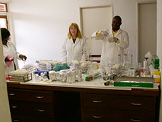 Establishing a plant biotechnology laboratory in Blantyre, Malawi