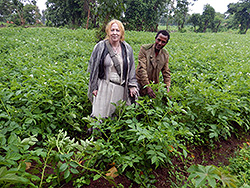 Ethiopian farmers produce Quality Declared Seed (QDS) for the potato value chain